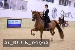 21_BUCK_00962 proof