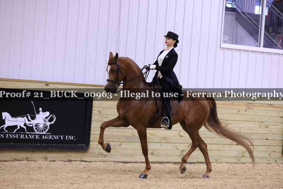 Proof 21_BUCK_00963