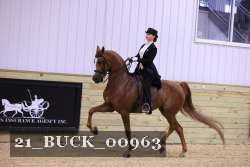 21_BUCK_00963 proof