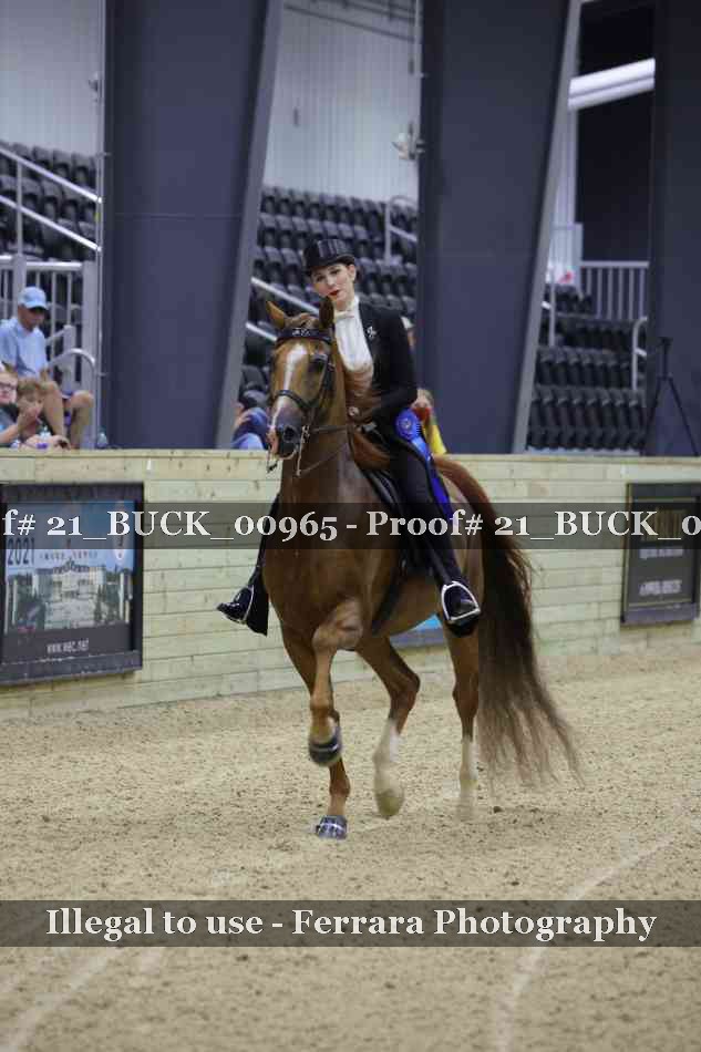 Proof 21_BUCK_00965