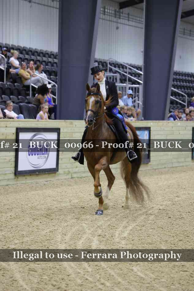 Proof 21_BUCK_00966