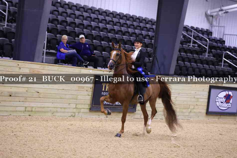 Proof 21_BUCK_00967