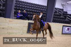 21_BUCK_00967 proof