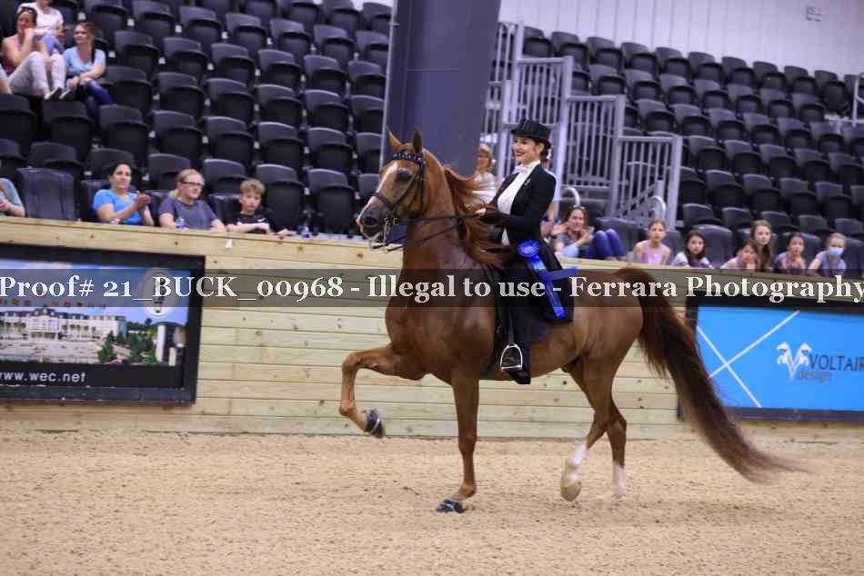 Proof 21_BUCK_00968