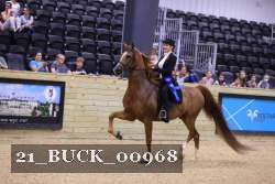 21_BUCK_00968 proof