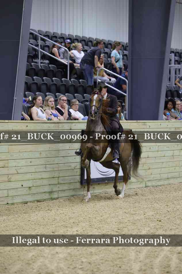 Proof 21_BUCK_00969