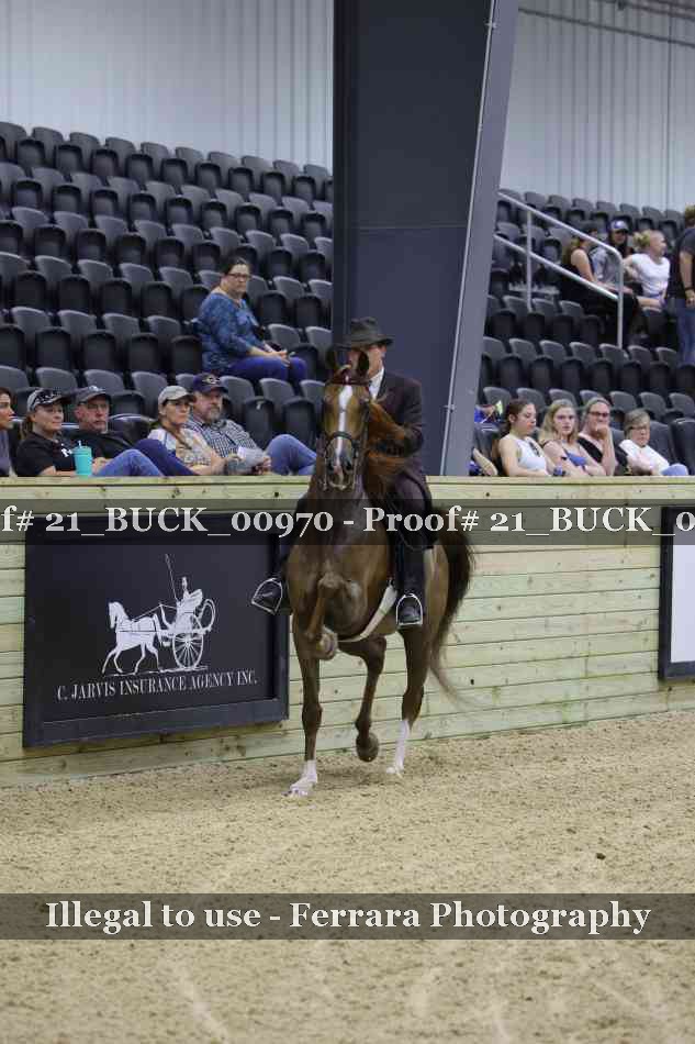 Proof 21_BUCK_00970