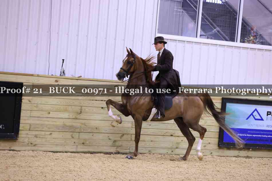 Proof 21_BUCK_00971