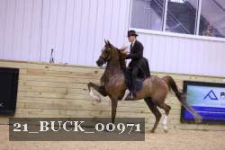 21_BUCK_00971 proof