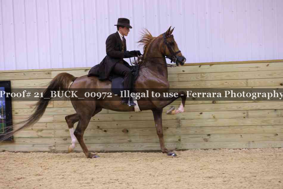 Proof 21_BUCK_00972