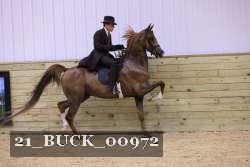 21_BUCK_00972 proof