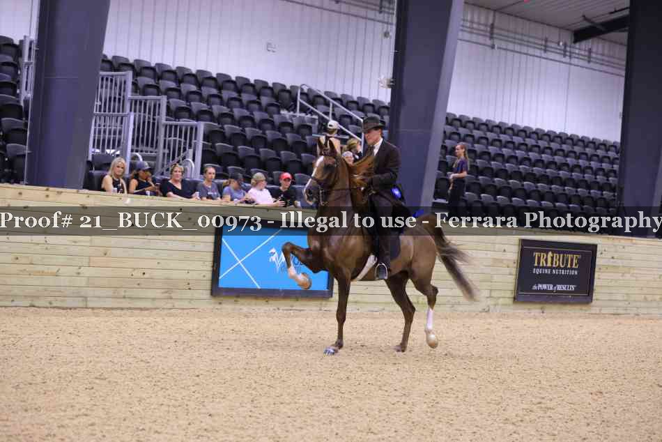 Proof 21_BUCK_00973