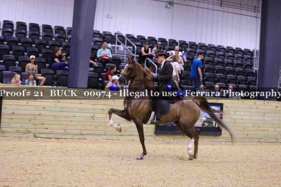 Proof 21_BUCK_00974