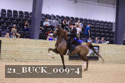 21_BUCK_00974 proof