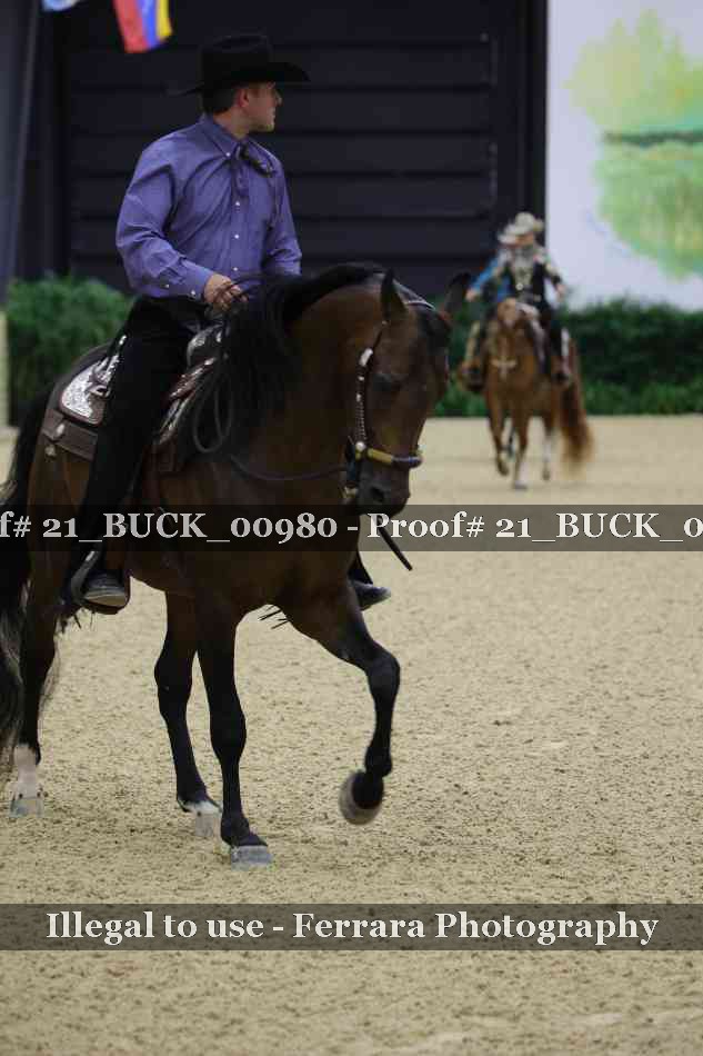 Proof 21_BUCK_00980