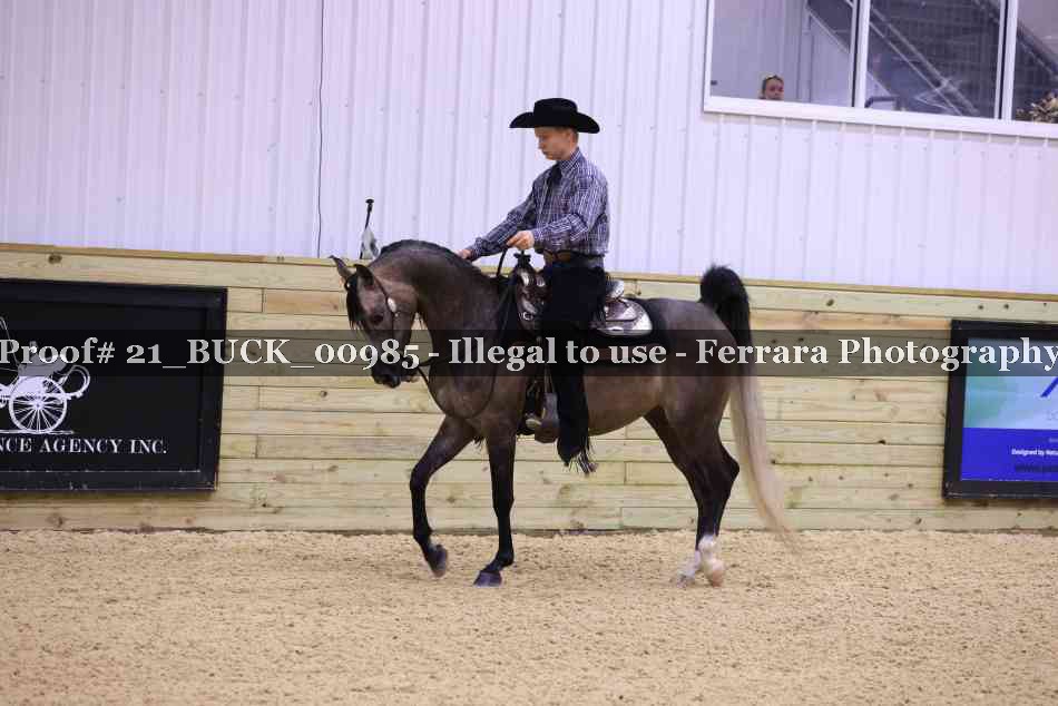 Proof 21_BUCK_00985