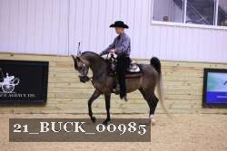 21_BUCK_00985 proof