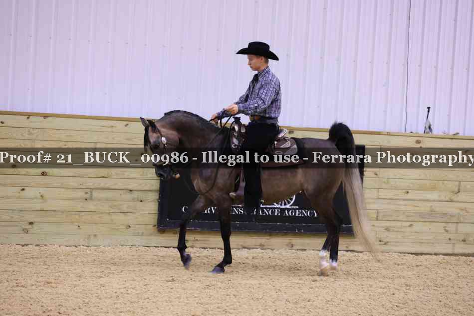 Proof 21_BUCK_00986