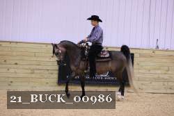 21_BUCK_00986 proof