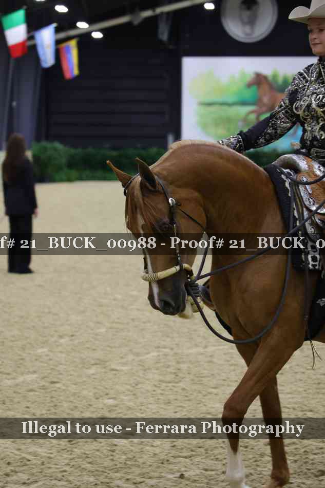 Proof 21_BUCK_00988