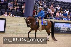 21_BUCK_00992 proof