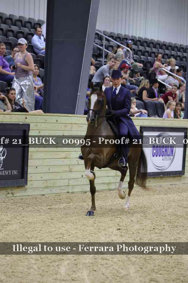 Proof 21_BUCK_00995
