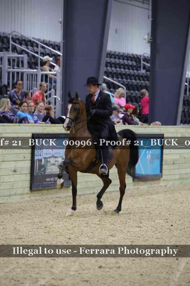 Proof 21_BUCK_00996