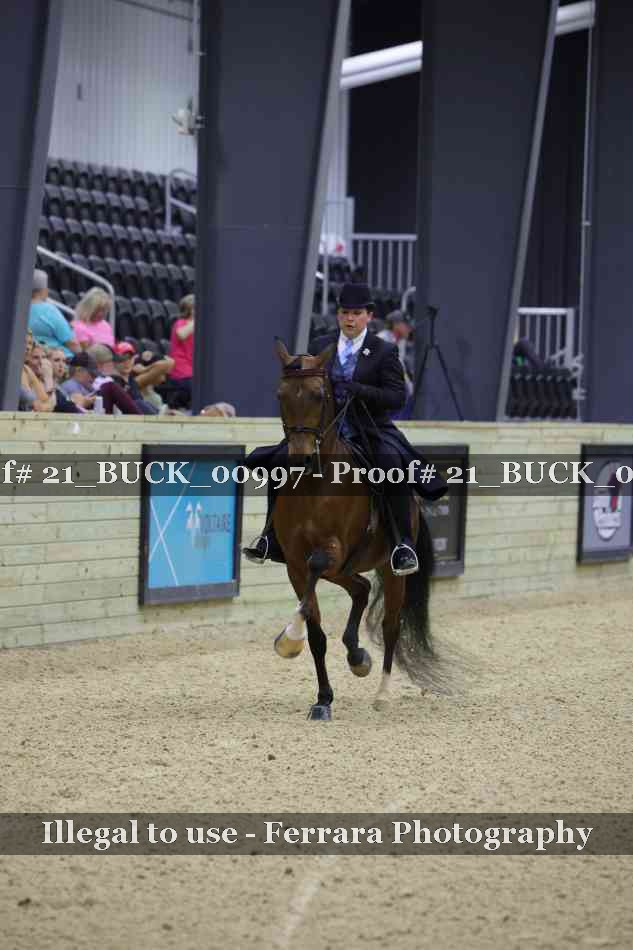 Proof 21_BUCK_00997
