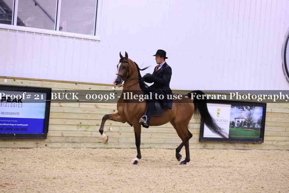 Proof 21_BUCK_00998