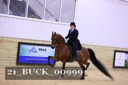 21_BUCK_00999 proof