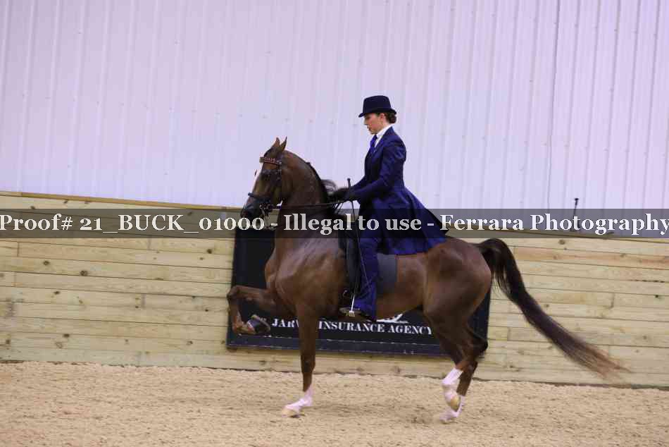 Proof 21_BUCK_01000