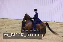 21_BUCK_01000 proof