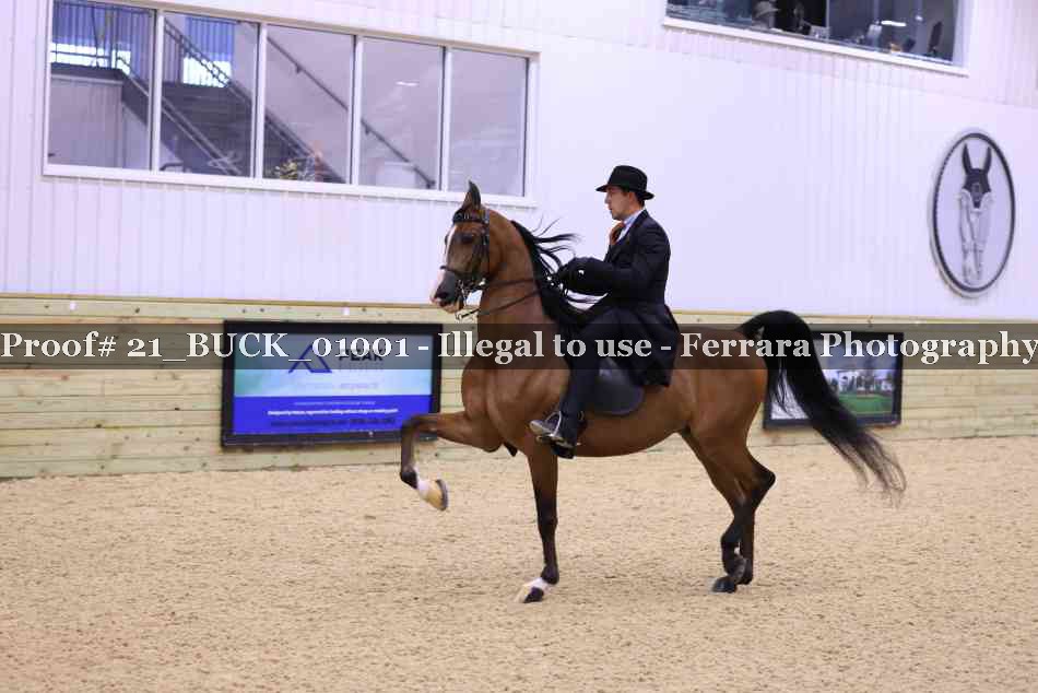 Proof 21_BUCK_01001