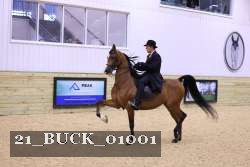21_BUCK_01001 proof