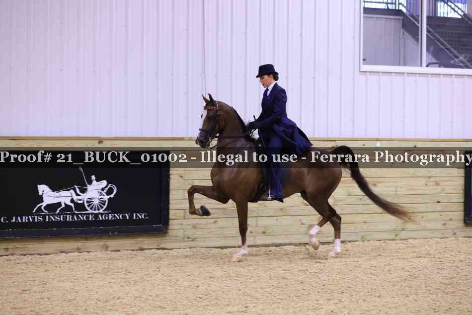Proof 21_BUCK_01002
