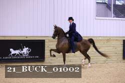 21_BUCK_01002 proof