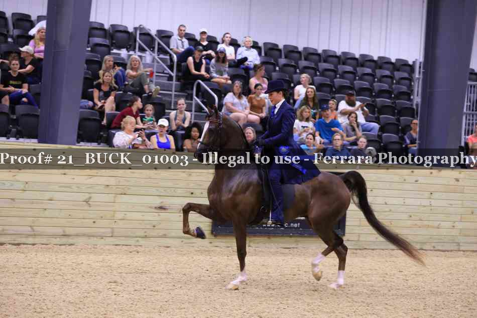 Proof 21_BUCK_01003