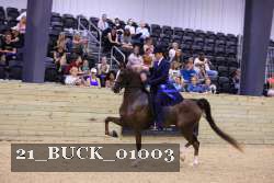 21_BUCK_01003 proof