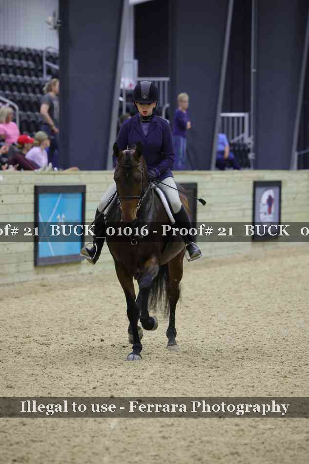Proof 21_BUCK_01016