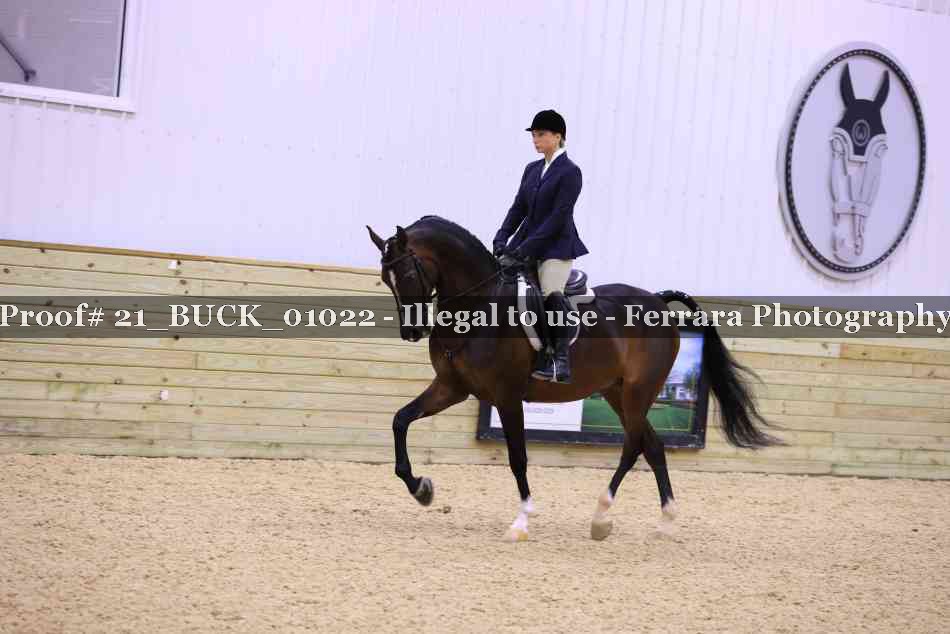 Proof 21_BUCK_01022