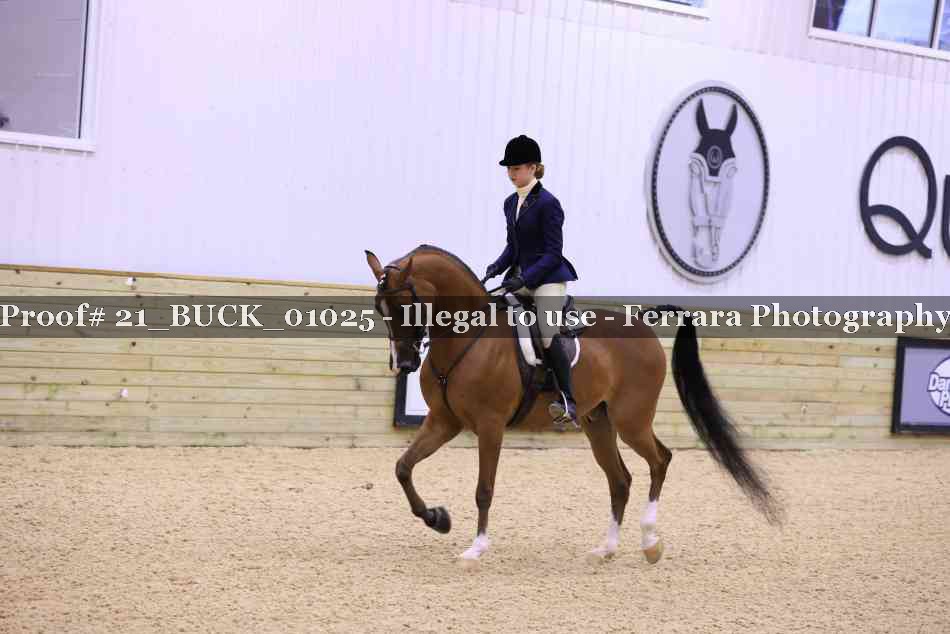 Proof 21_BUCK_01025