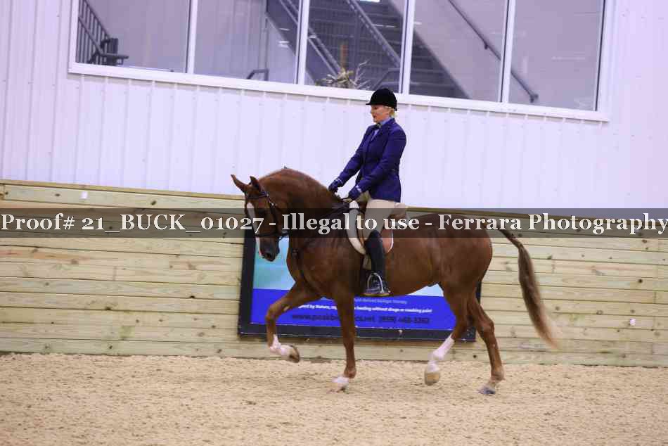 Proof 21_BUCK_01027