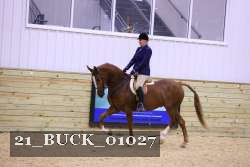 21_BUCK_01027 proof