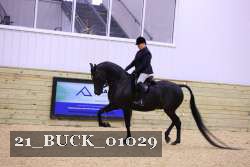 21_BUCK_01029 proof