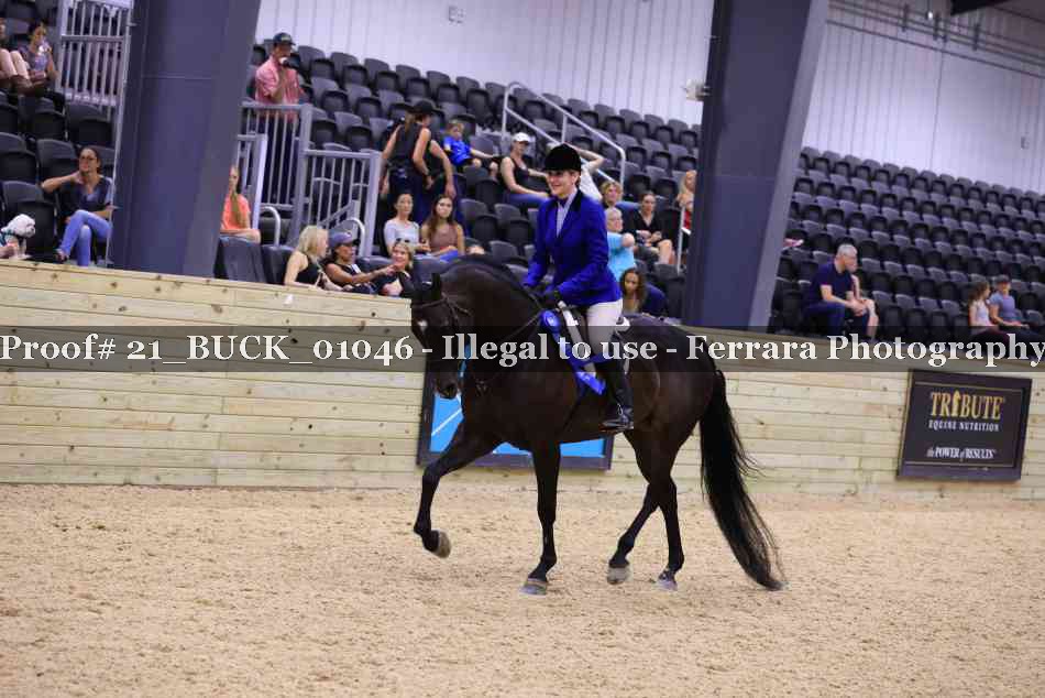 Proof 21_BUCK_01046