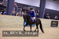 21_BUCK_01046 proof