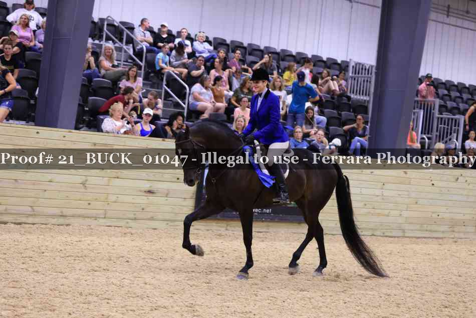 Proof 21_BUCK_01047