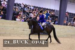 21_BUCK_01047 proof