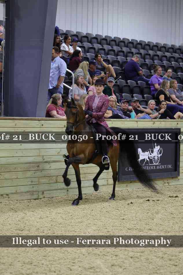 Proof 21_BUCK_01050