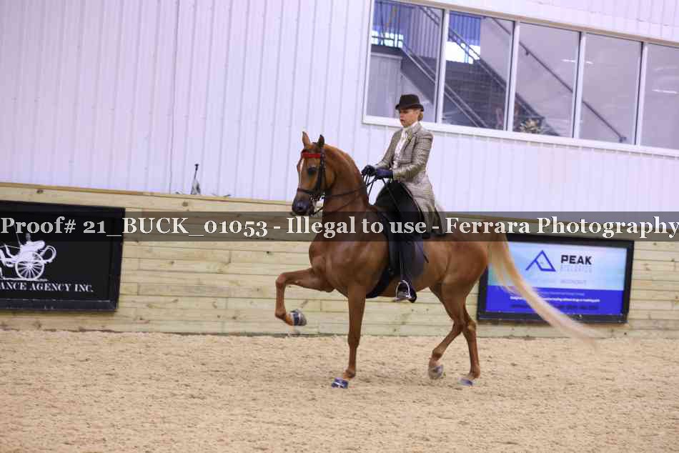 Proof 21_BUCK_01053